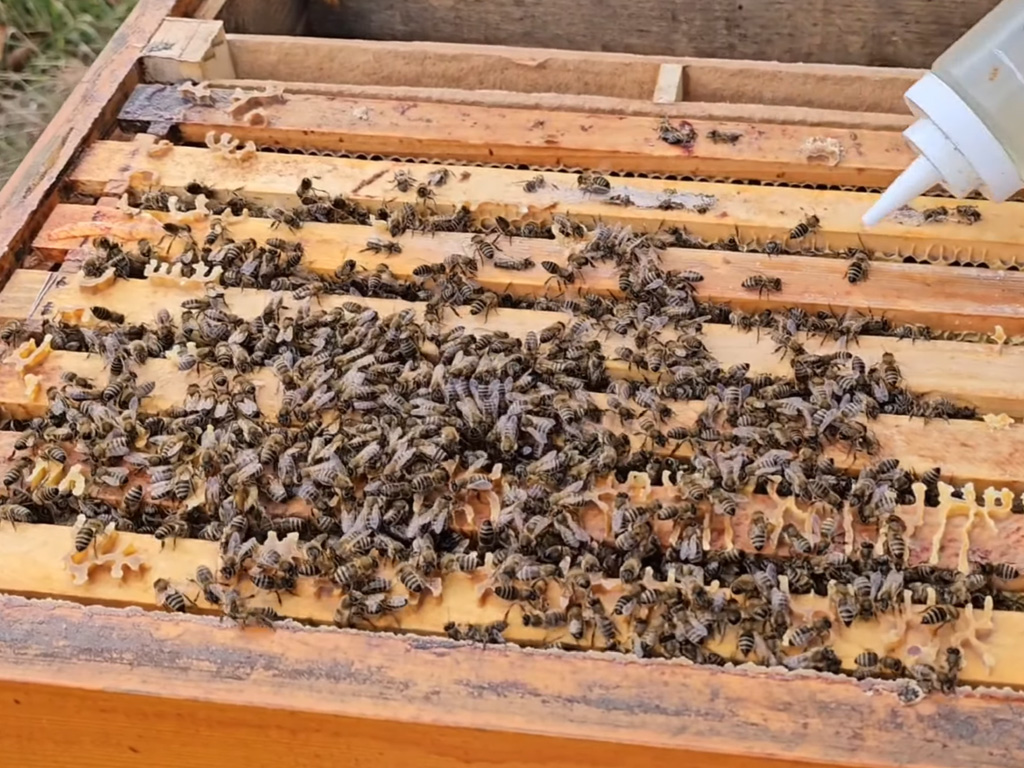 Pokap kyselinou šťavelovou